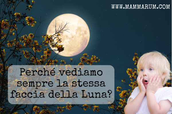 Perché vediamo sempre la stessa faccia della Luna Spiegazione